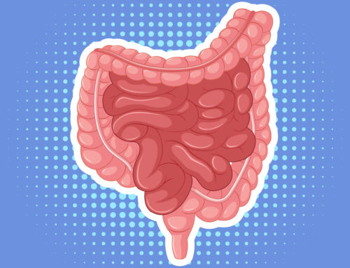 ¡Conoce los Factores de Riesgo del Cáncer Colorrectal!  ¡Cuida tu salud intestinal para un mañana más saludable!